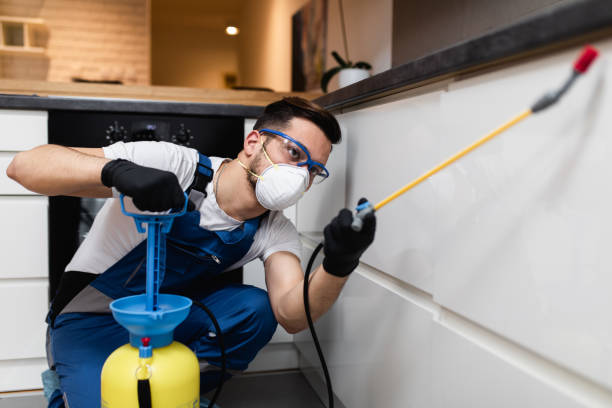 Best Commercial Pest Control Services  in Dix Hills, NY