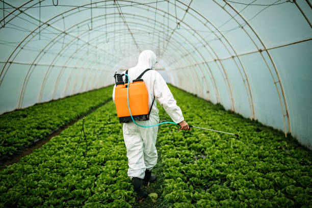 Best Pest Prevention Services  in Dix Hills, NY