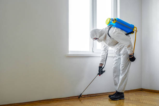 Best Flea Control Services  in Dix Hills, NY