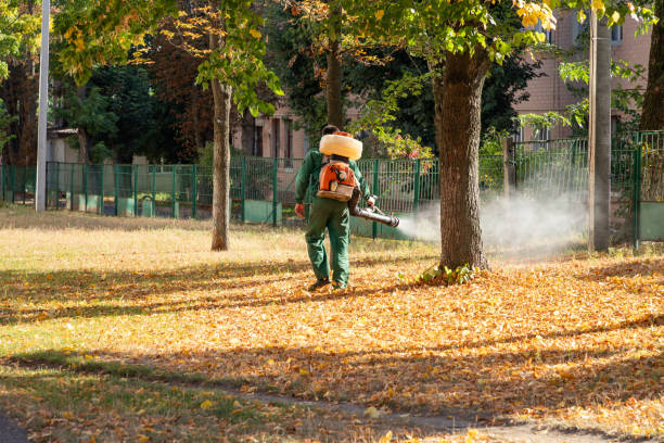 Professional Pest Control in Dix Hills, NY