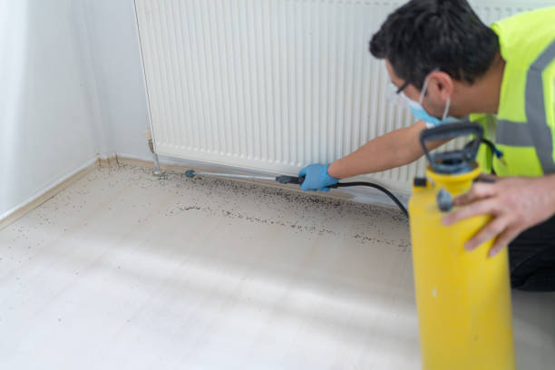 Pest Control for Restaurants in Dix Hills, NY