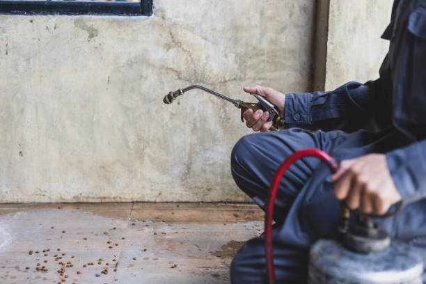 Best Exterminator Services  in Dix Hills, NY